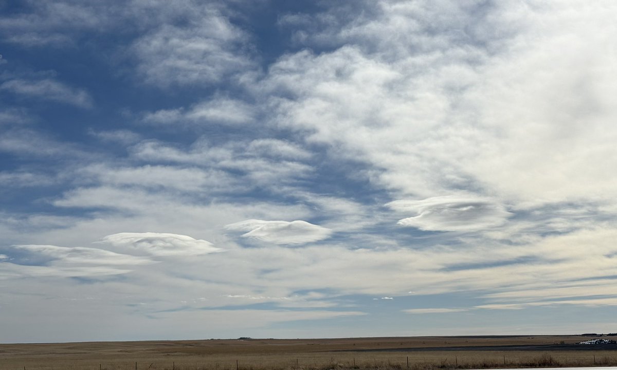 Brian Bledsoe 🐊 tweet media