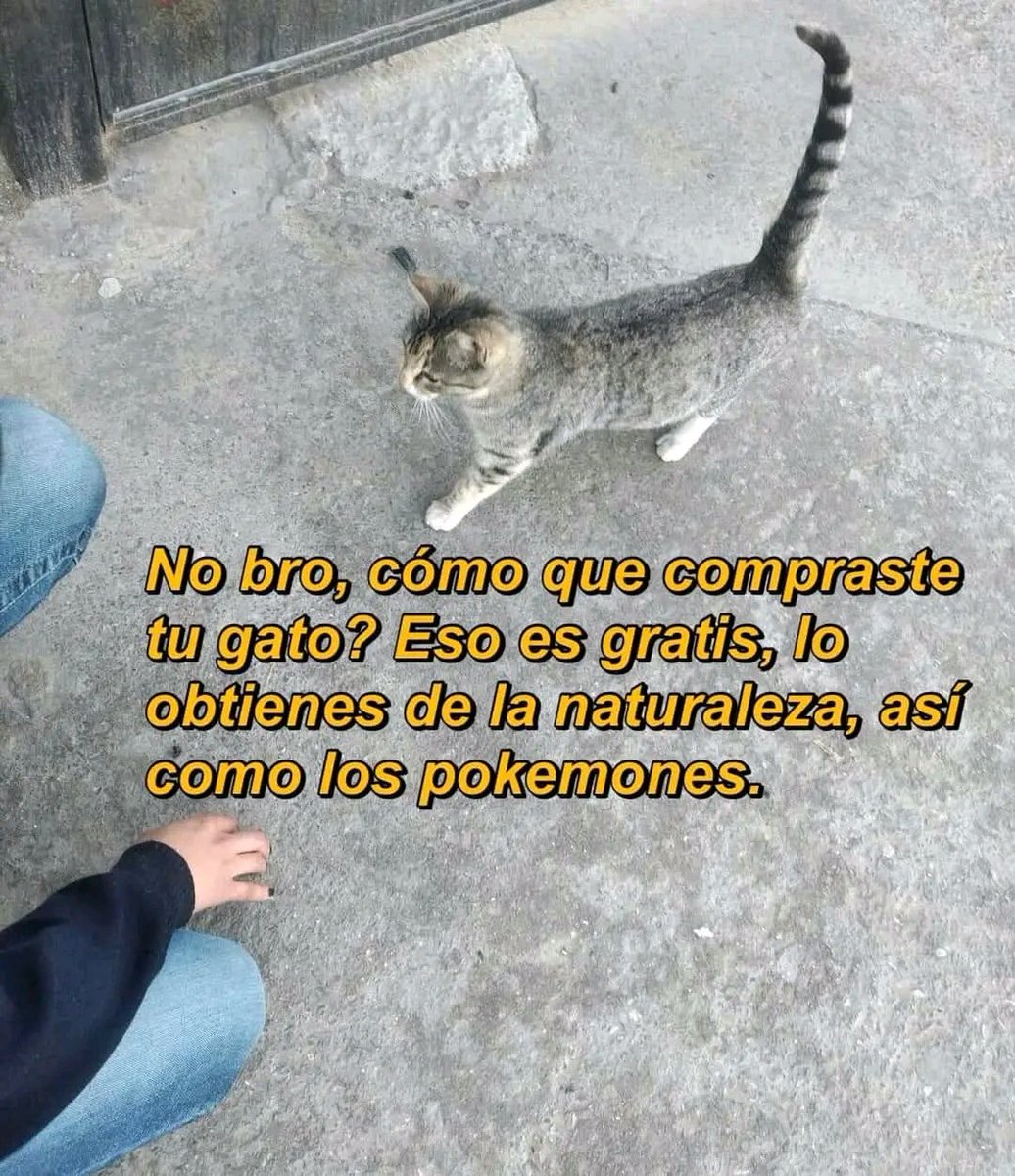 Tendo 𒌐 tweet media