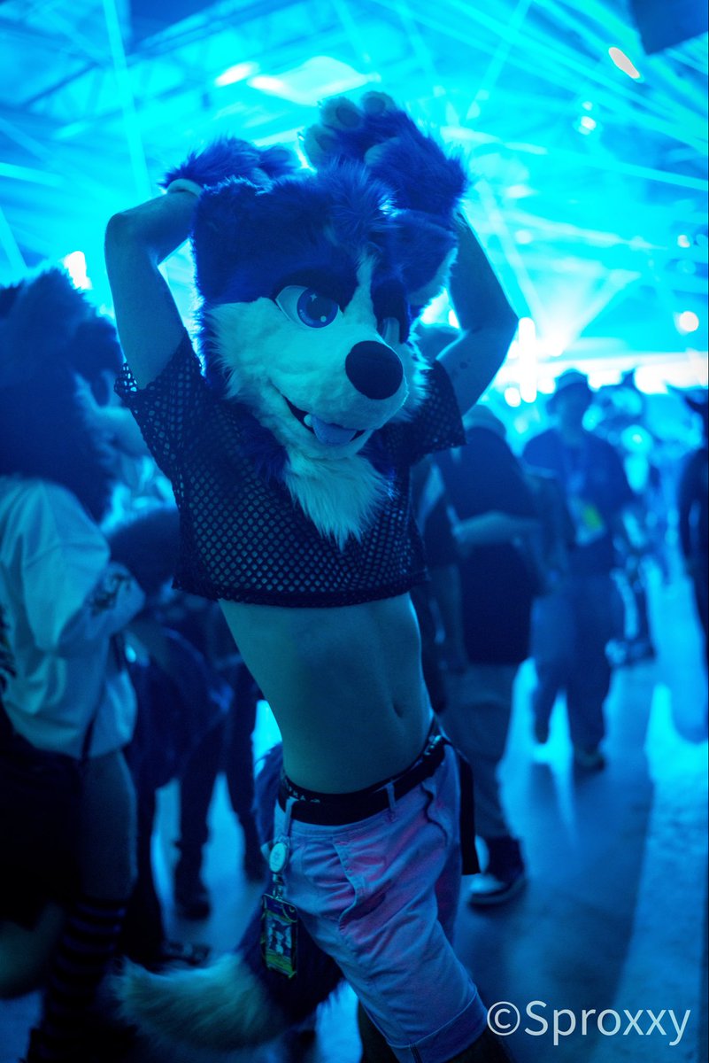 DogBox Designs tweet media