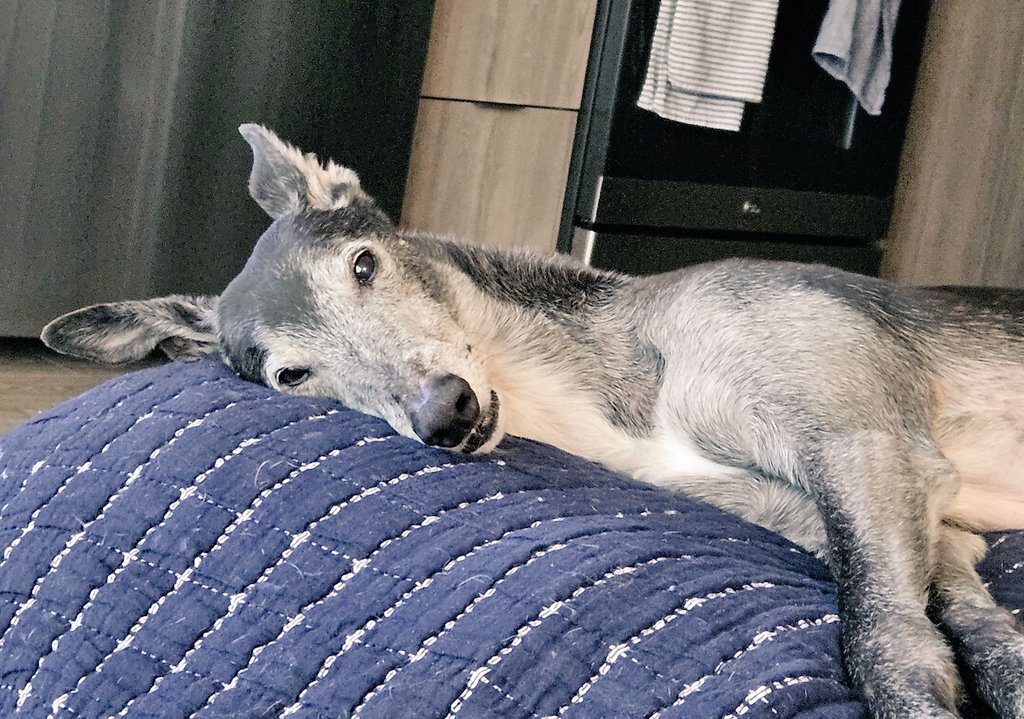 Mayhemily tweet media