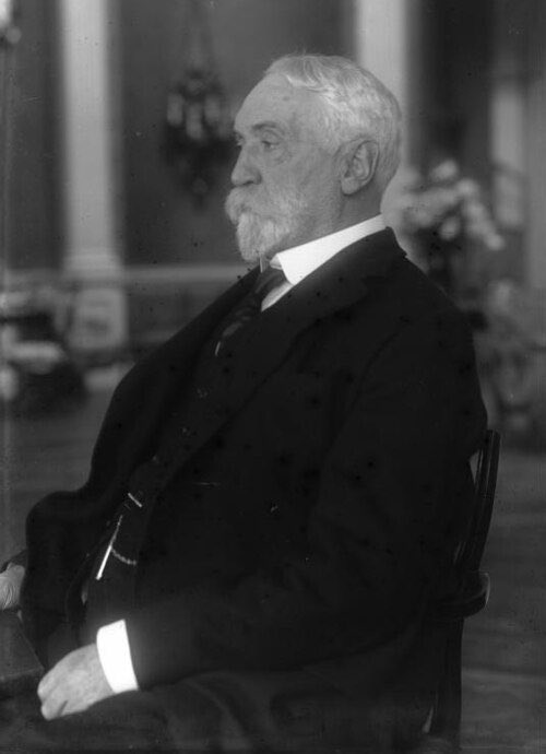 Wolf 🐺 tweet media