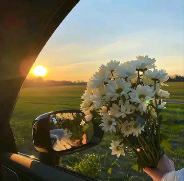 Maria456pr's tweet photo. Nothing brightens up a drive quite like a bouquet of fresh flowers! 🌸📷 https://t.co/Gf7FfXUMjQ