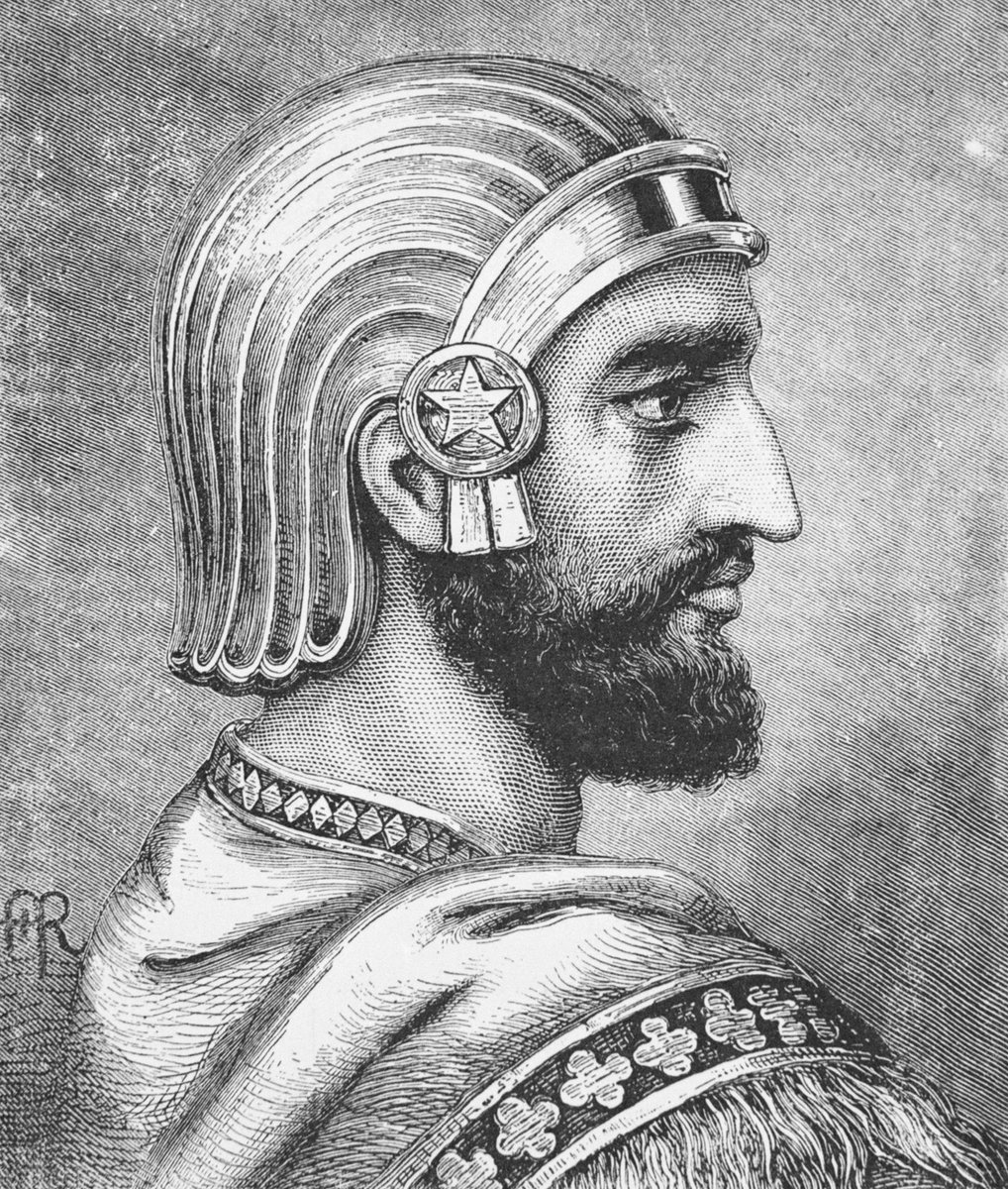 Zohhak_'s tweet photo. @JuanarielAcost5 Maybe Cyrus https://t.co/D8NoXQSZJa