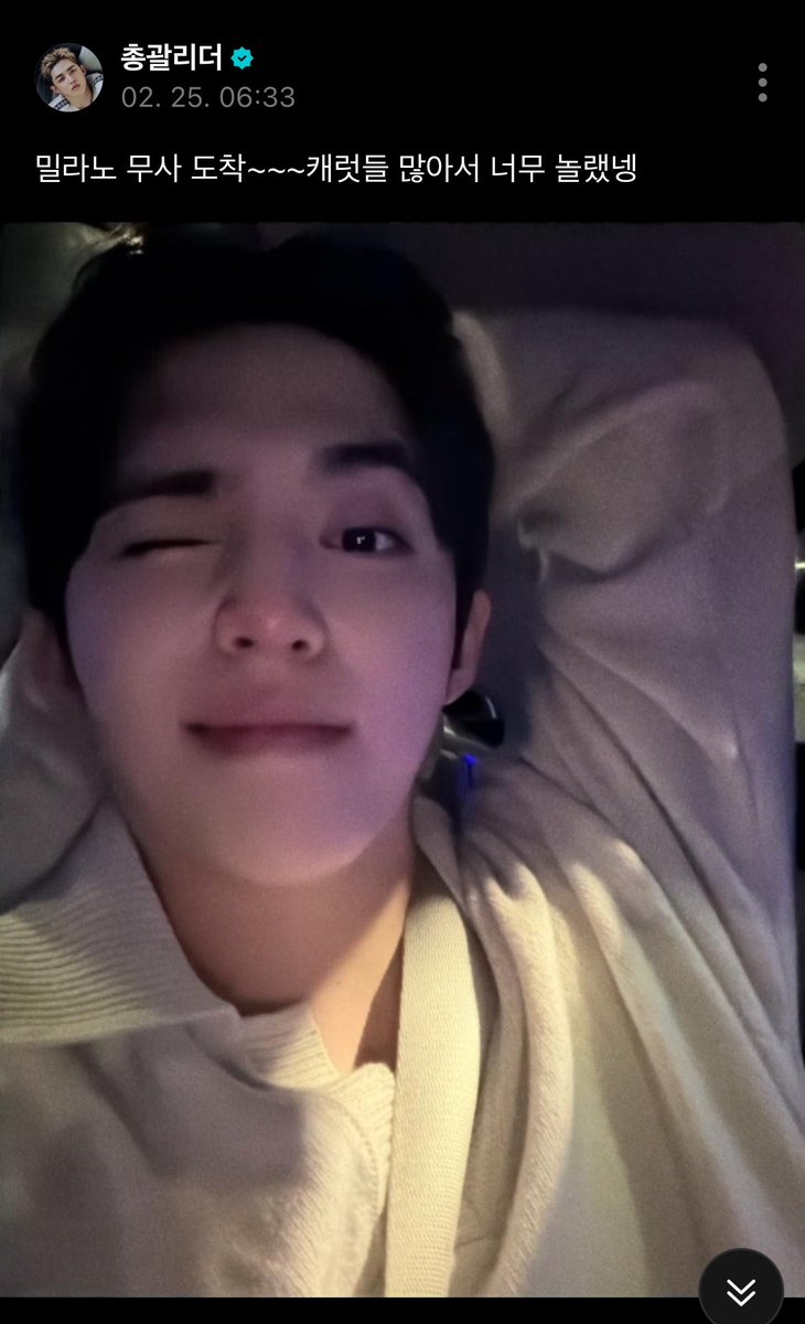 뽀둥이 비행하고 나서도 왜케 이쁨