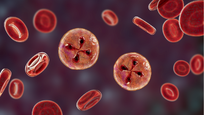 Nature Reviews Microbiology tweet media