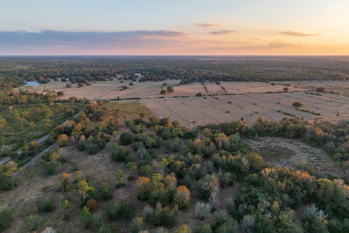 Florida Dept. of Agriculture & Consumer Services tweet media