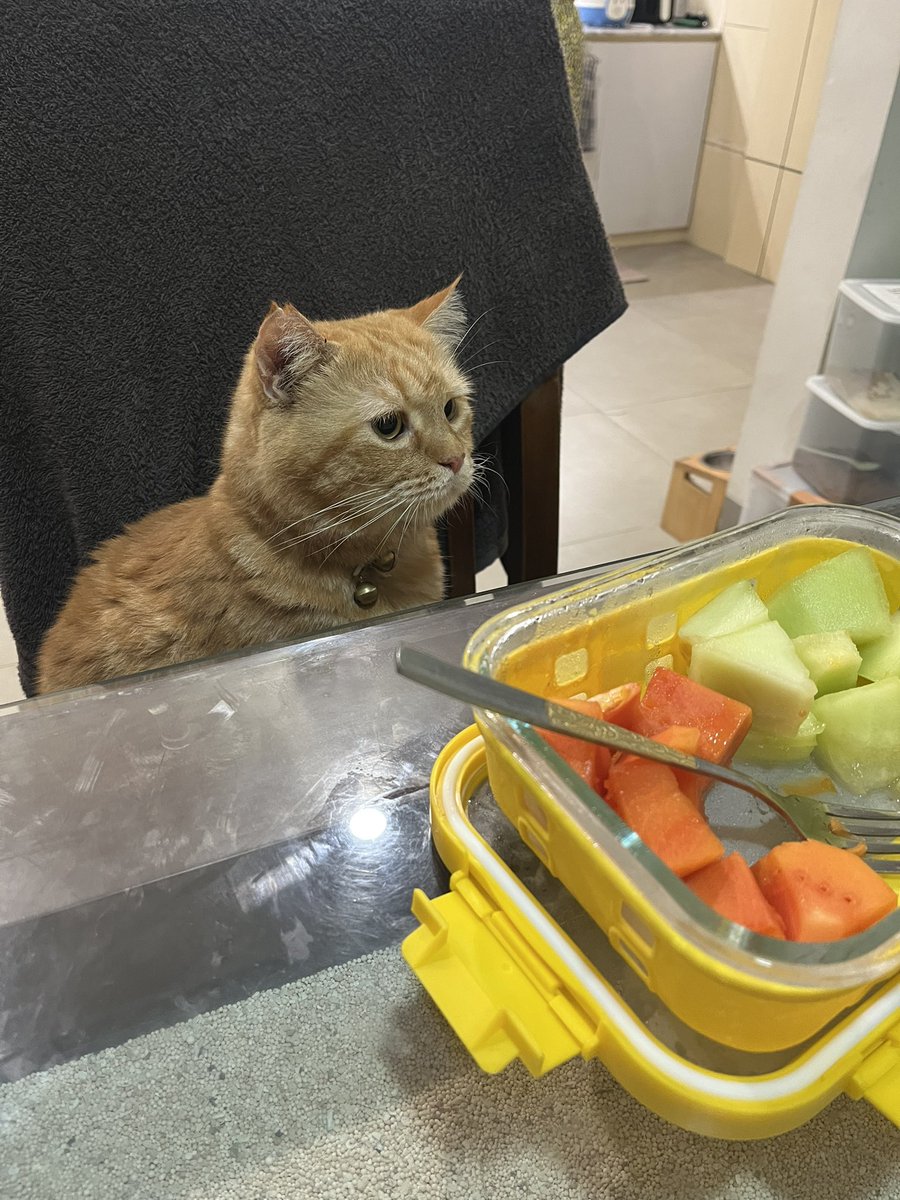 Sahrul day 7. 
Makannya buah aja soalnya lagi ngurangin karbo