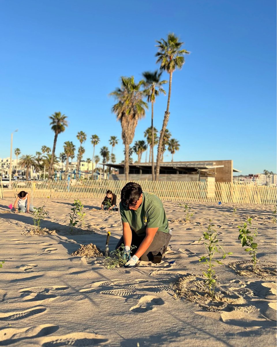 The Bay Foundation tweet media