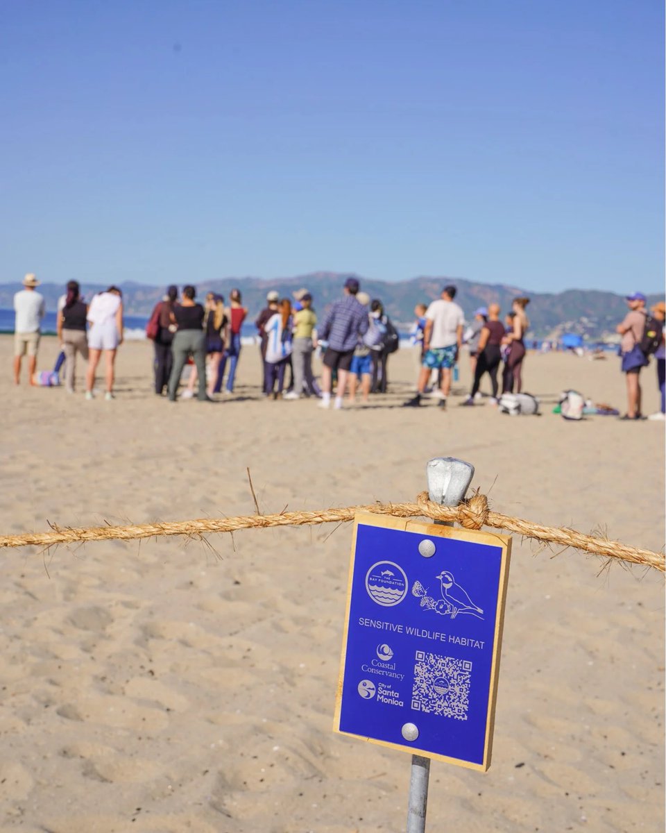 The Bay Foundation tweet media