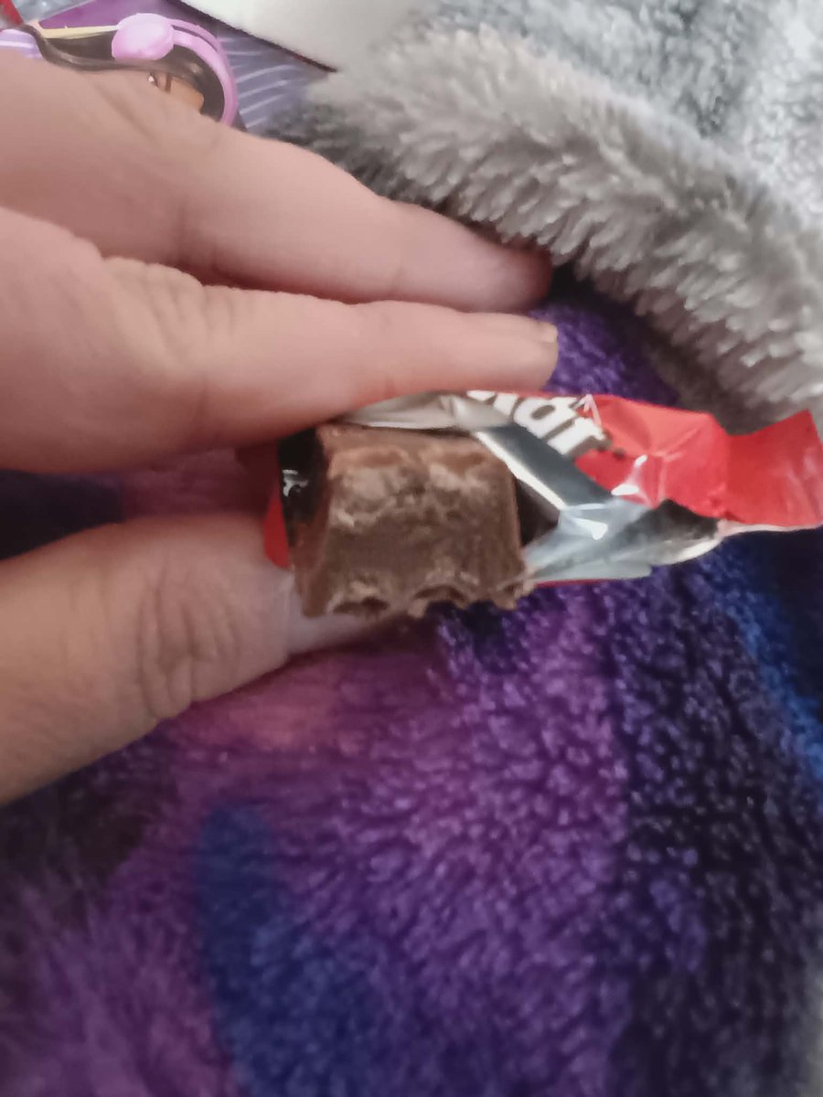 YukiTheTeddyBear tweet media