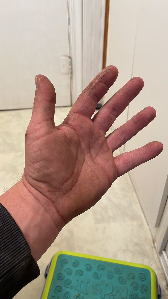 Cody Wayne tweet media