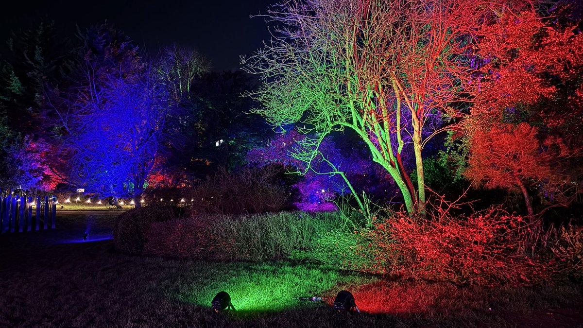 RedMatter🌹 tweet media