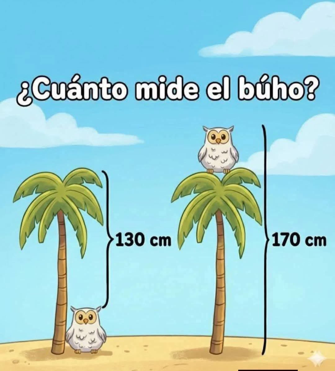 Diego Royet tweet media