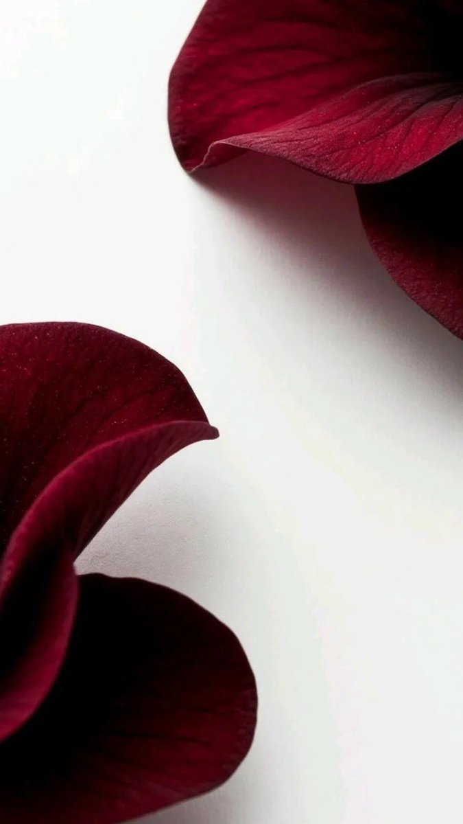 Wallpapers2027's tweet photo. #Wallpapers2026 https://t.co/i6FyKLzgMy