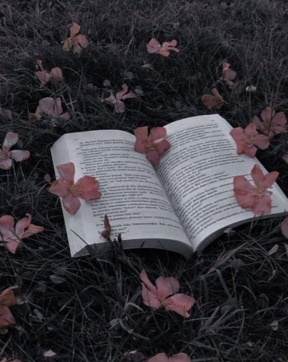Ady| 📚 Memórias do subsolo/Suicidas tweet media
