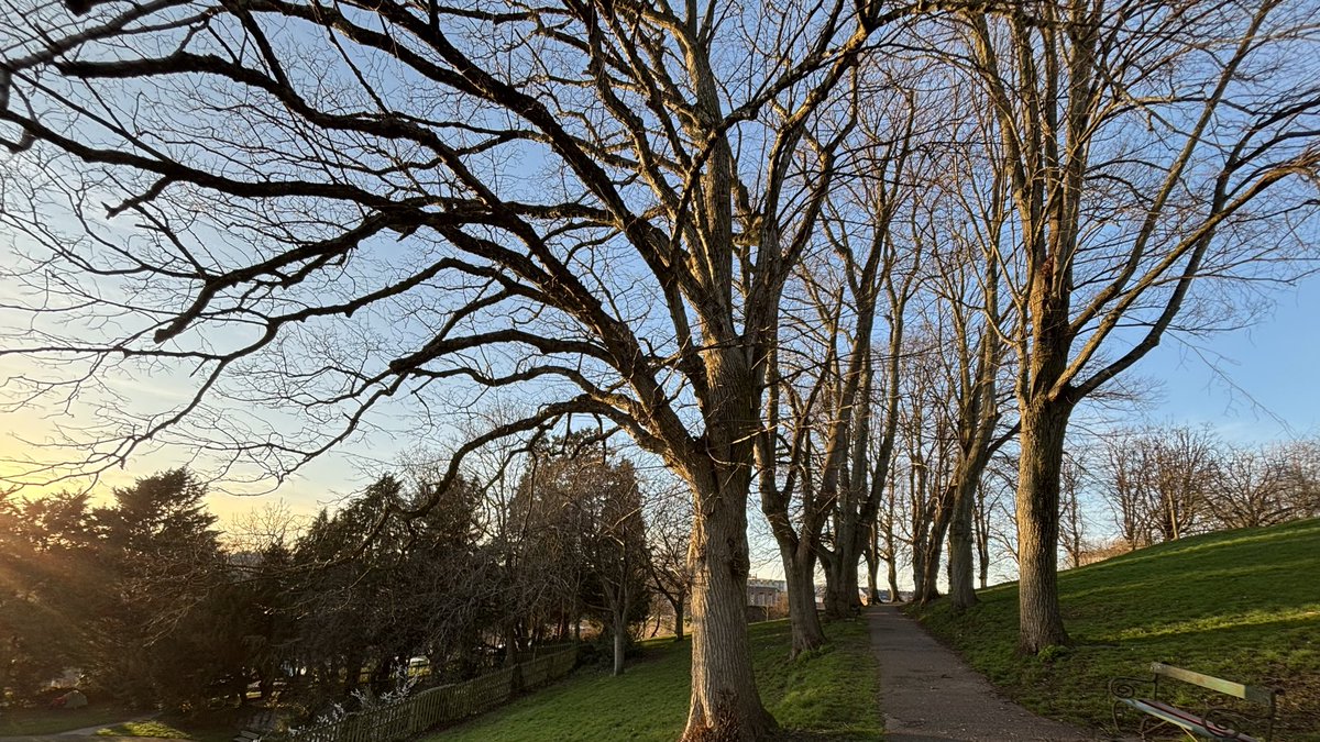 RedMatter🌹 tweet media