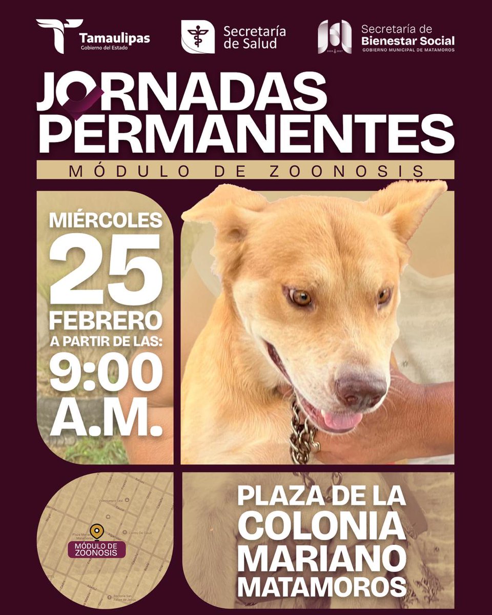 🐾📍 Mañana, desde las 9:00 a.m., las Jornadas Permanentes del Módulo de Zoonosis llegan a la colonia Mariano Matamoros.

Se brindarán servicios y orientación para el cuidado responsable de perros y gatos, promoviendo la prevención y el bienestar animal. 🐶🐱