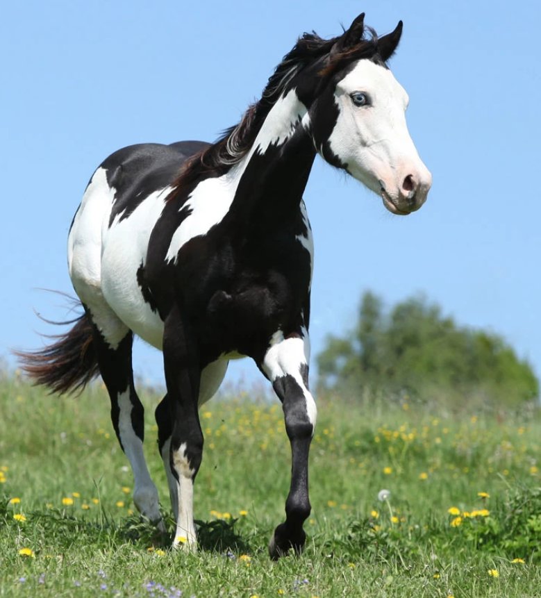 Sleep Deprived tweet media