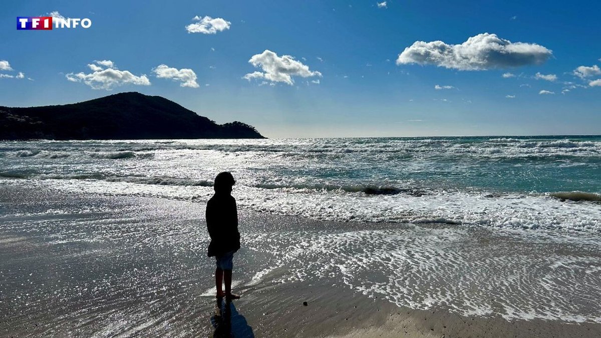 "Digne d'un mois de mai" : des records de chaleur battus pour un mois de février
➡️ l.tf1info.fr/e9V