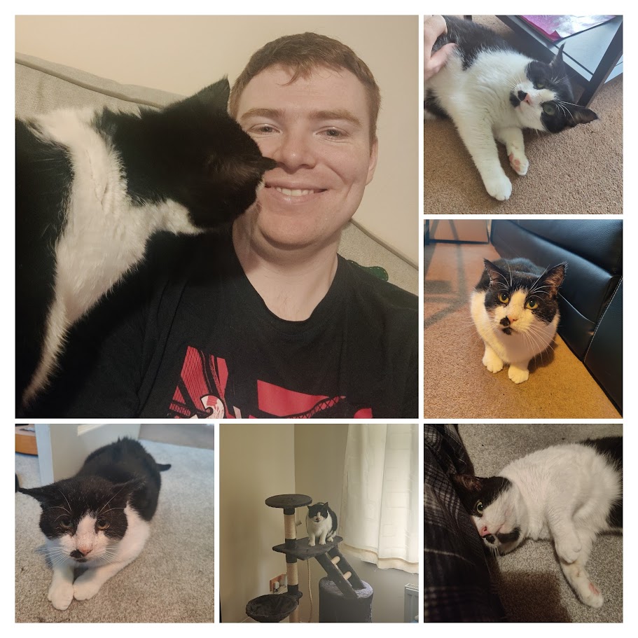 RhinoCasts tweet media