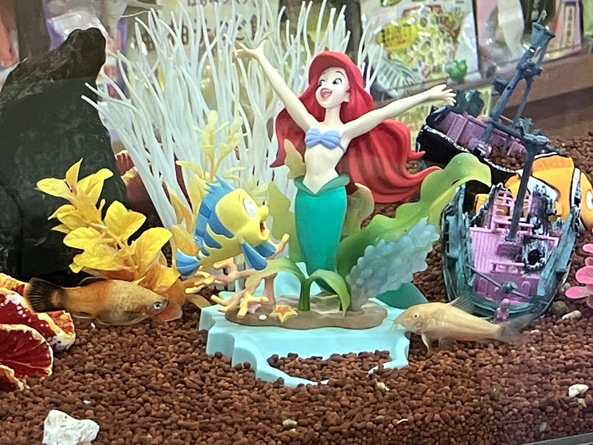 ももんがーZ (@amemomo_M) / Posts / X