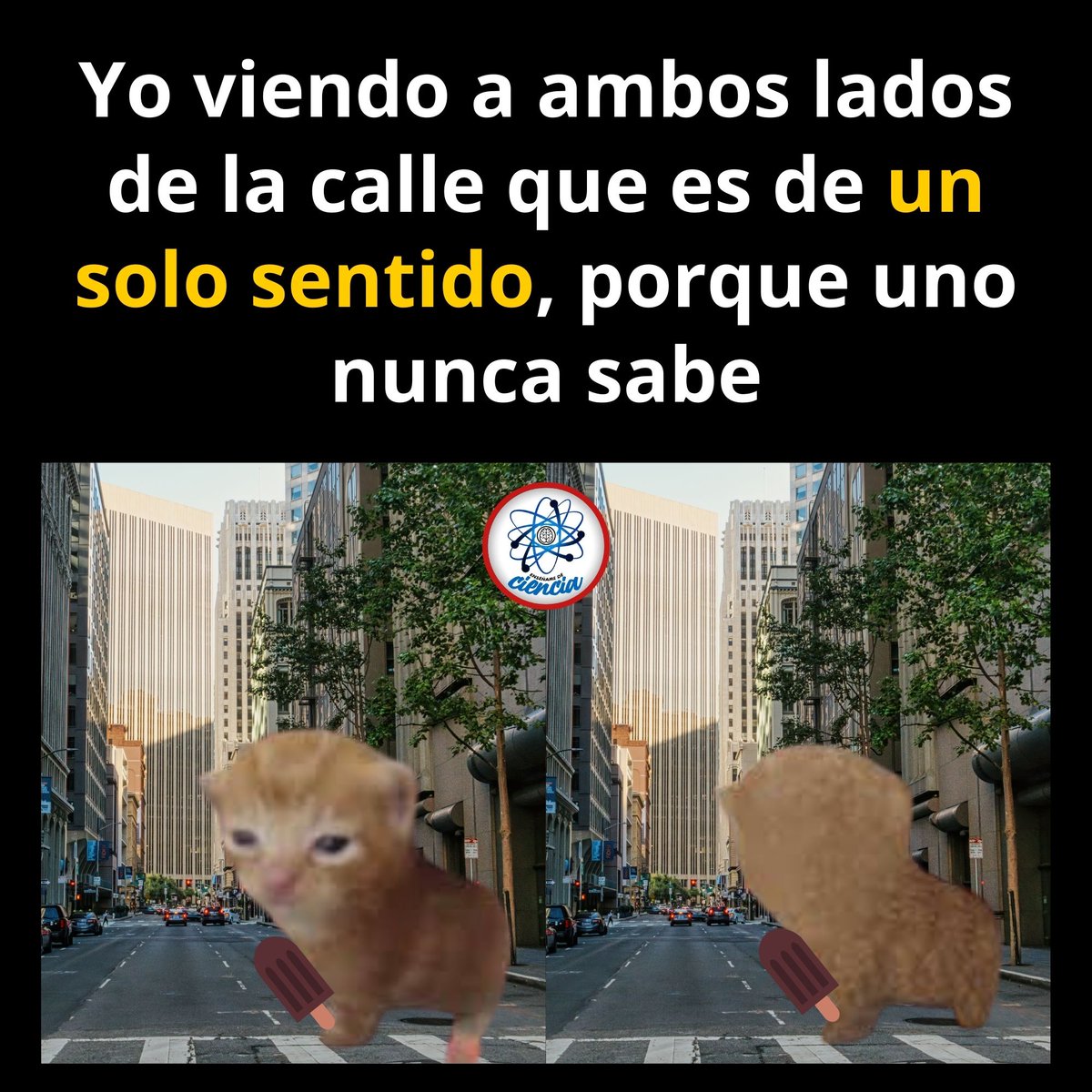 Cosas que solo pasan en LATAM.