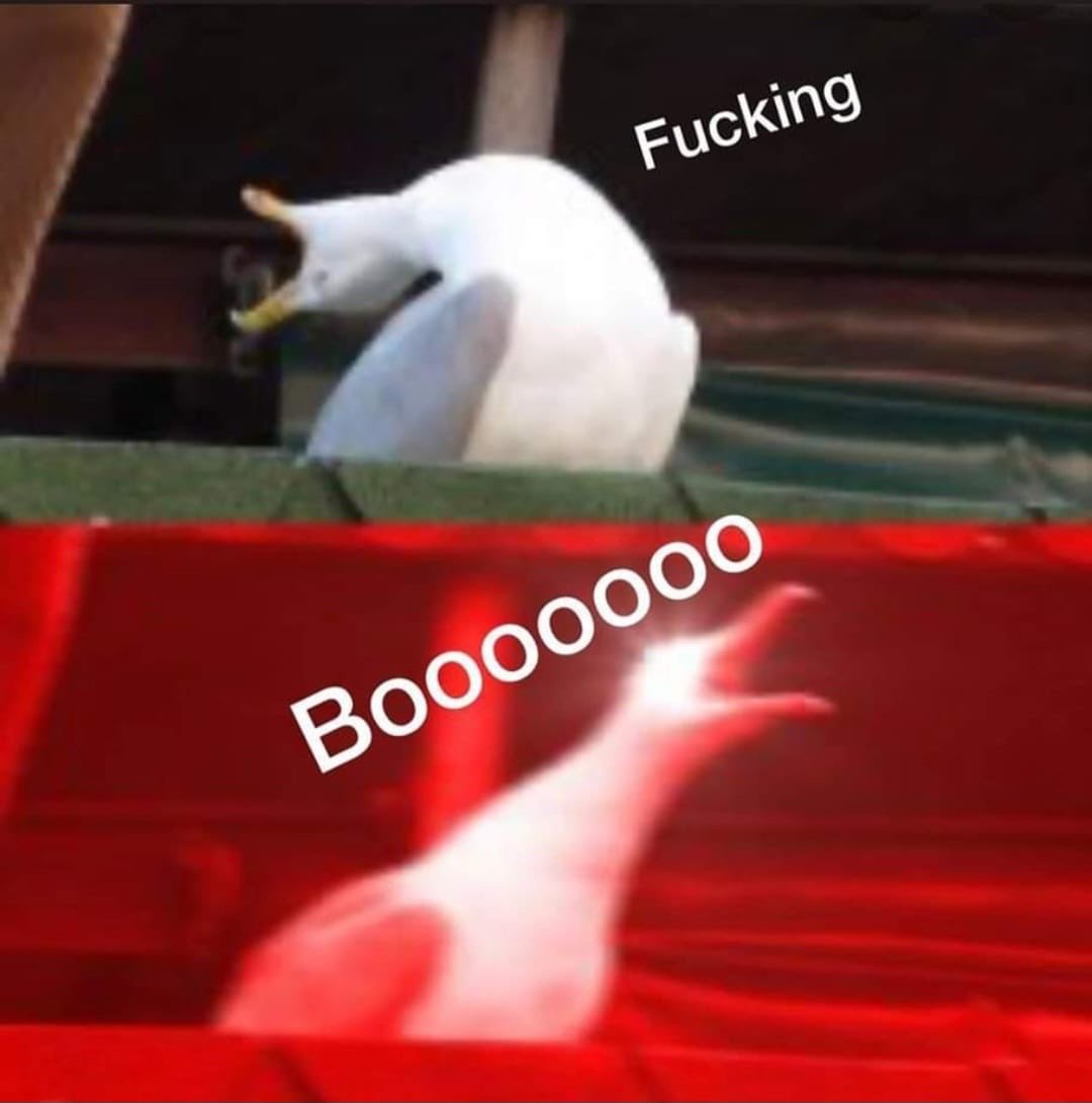 Jack Pinnock tweet media