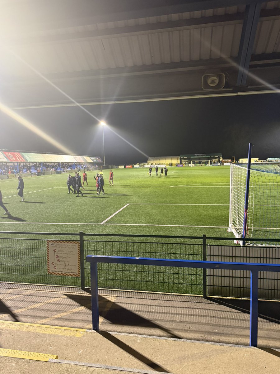 Shepps 🐝 tweet media