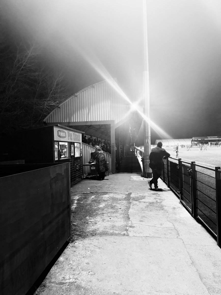 Shepps 🐝 tweet media