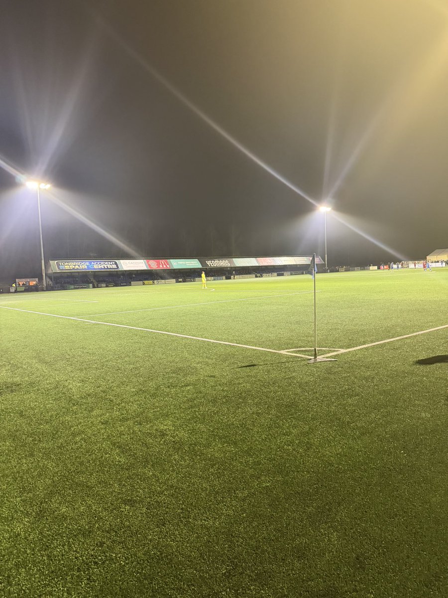 Shepps 🐝 tweet media