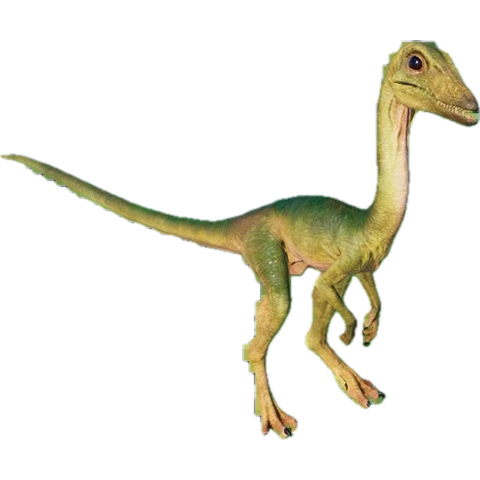 _Compsognathus's tweet photo. @_Patagotitan_ https://t.co/bzaP2a1DLy