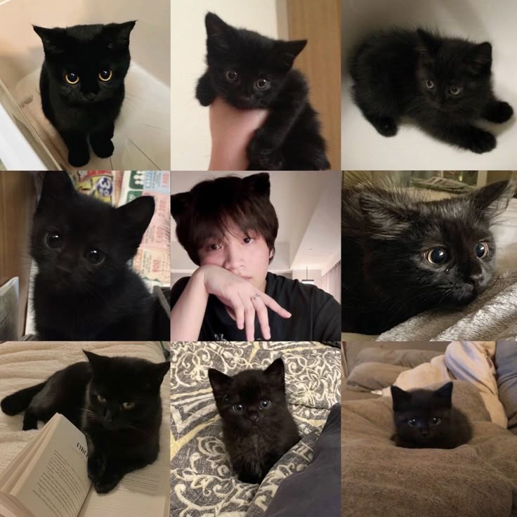 Yuki. Kucing galak kesayangan Isail🫰