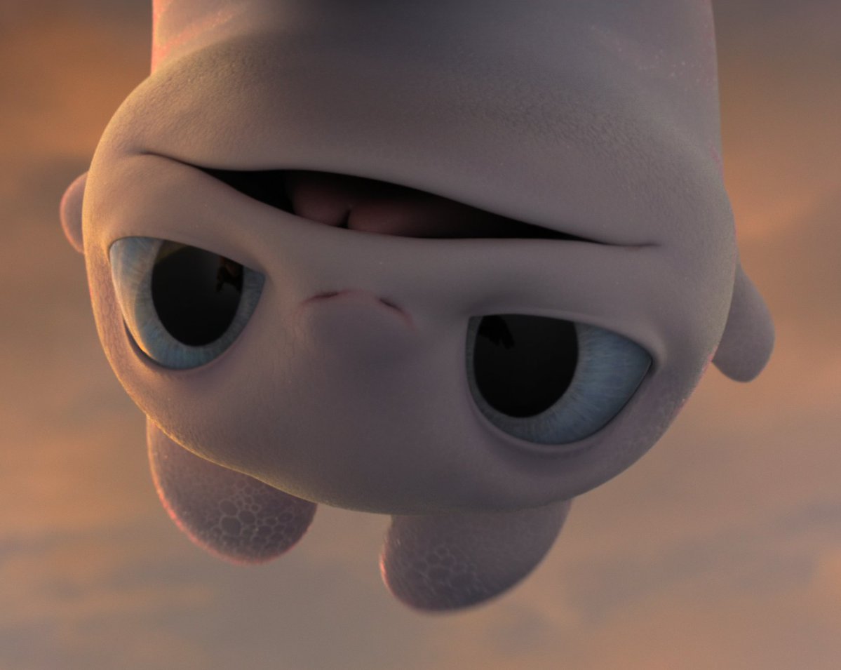 ᯓ★ DAILY LIGHT FURY 🤍 tweet media