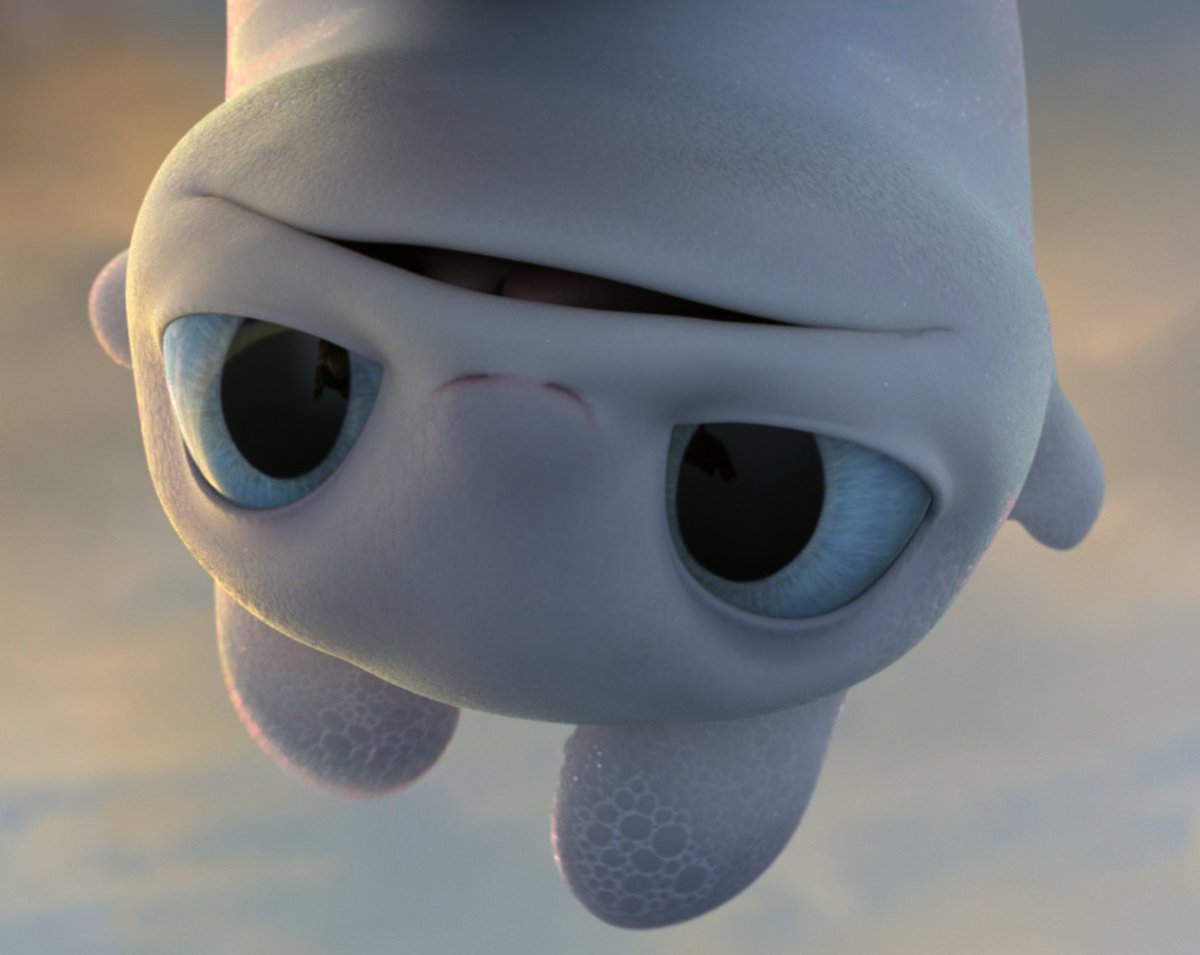 ᯓ★ DAILY LIGHT FURY 🤍 tweet media