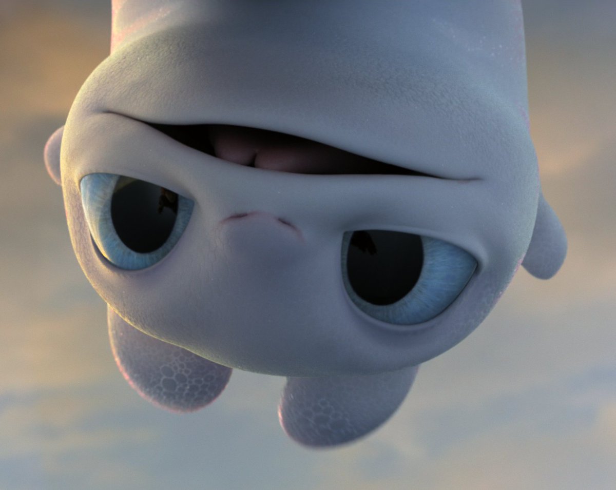 ᯓ★ DAILY LIGHT FURY 🤍 tweet media