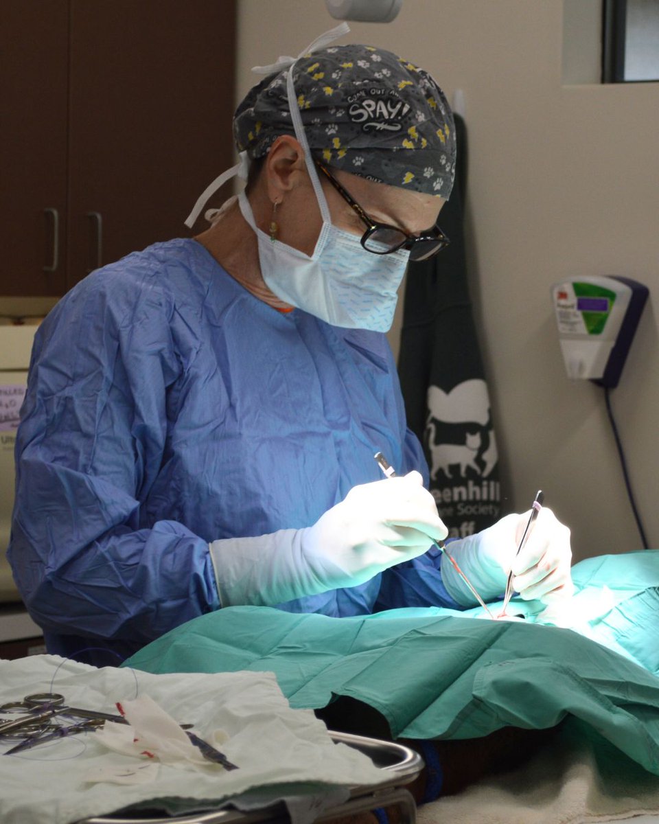 Greenhill Humane tweet media