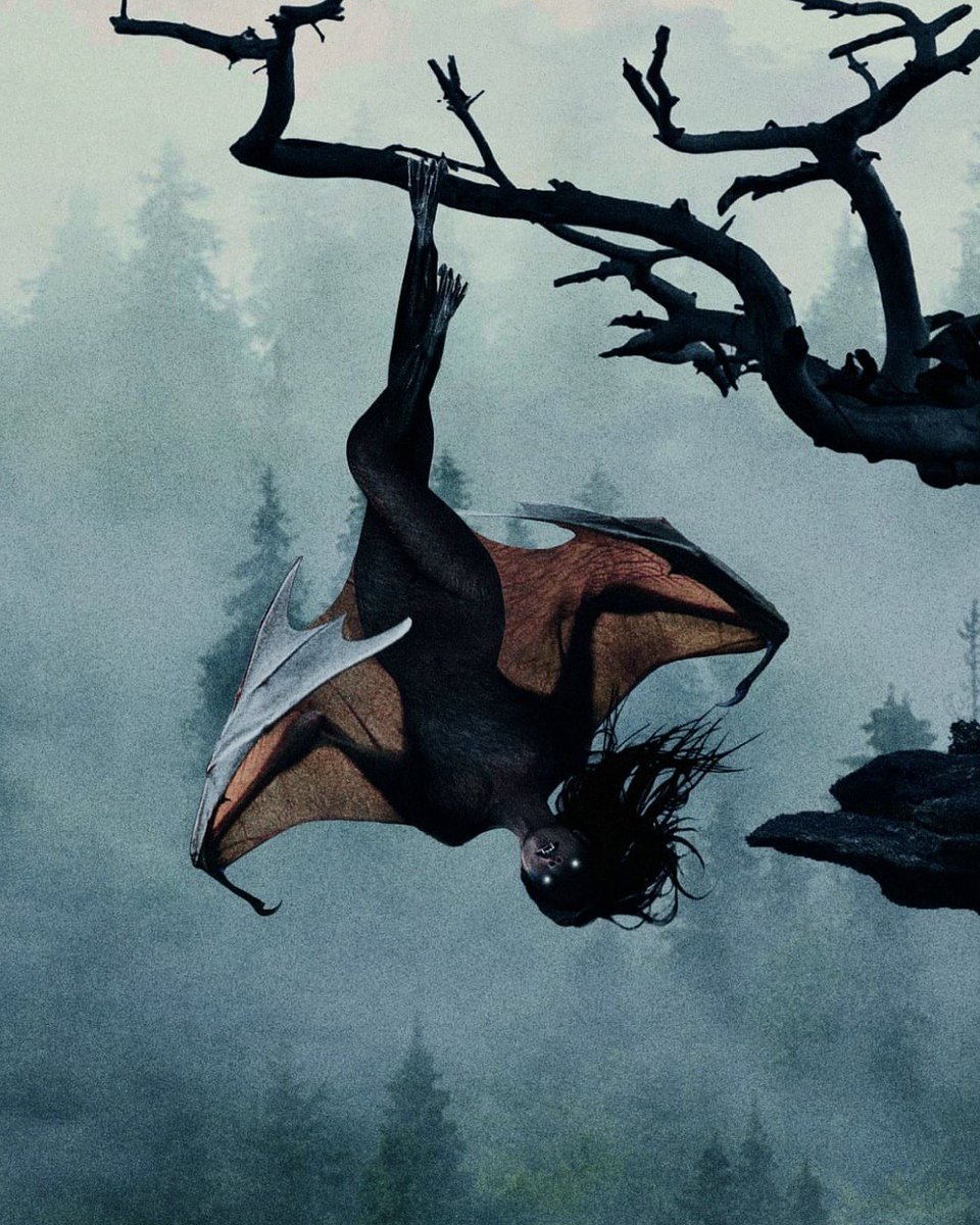 soli (@solisolsoli) on Twitter photo 