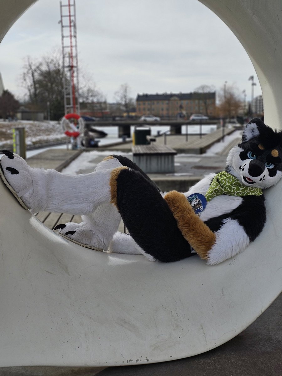 Asther Wolfie, Back to Australia 2025! tweet media