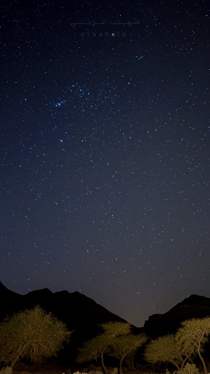 سرينا مع ليل الهواجيس مسرى
          وتركنا منام الليل للي تهنى به