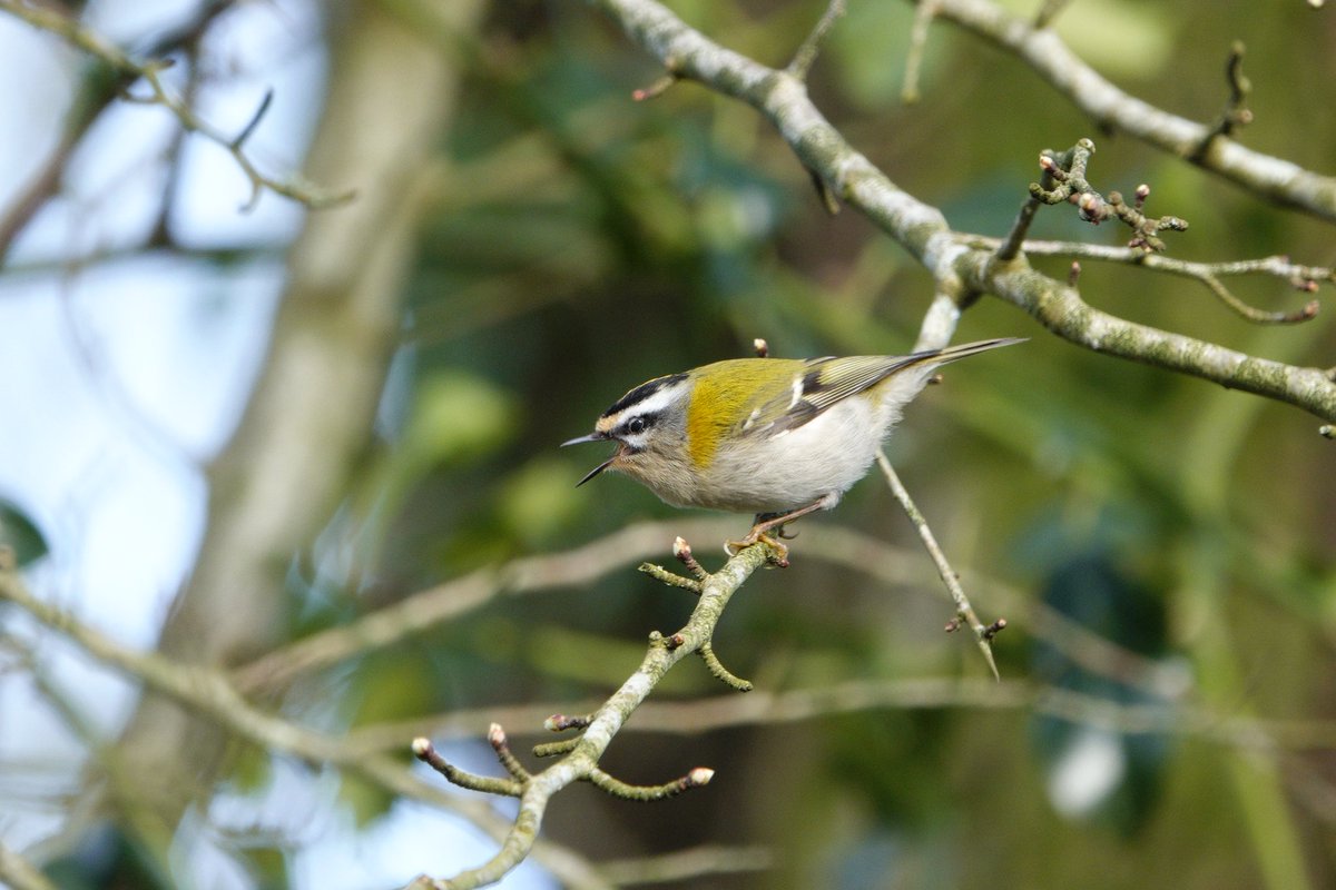 lyn lambert💙💛🇺🇦 tweet media