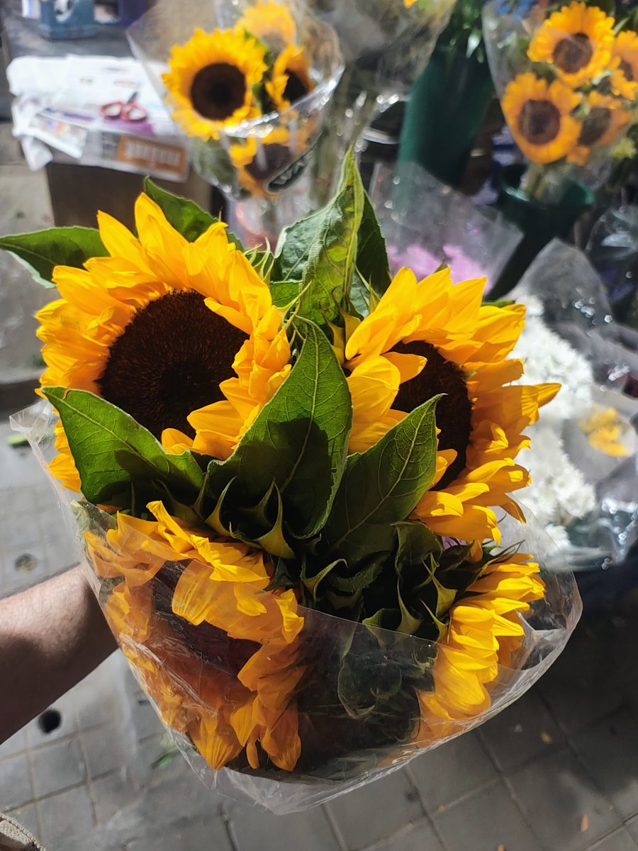 _sg_official_'s tweet photo. Indiranagar blooms

#bangalore #Bengaluru #flowers #loveislandallstars #love https://t.co/20mxdsDa3D