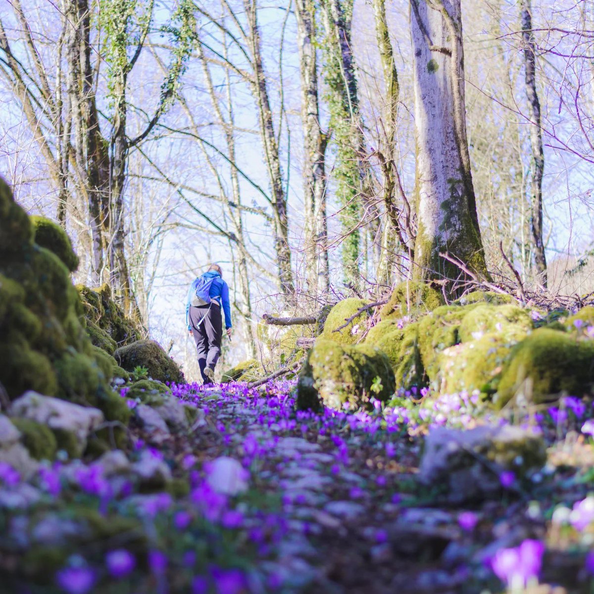 Exploring Slovenia tweet media