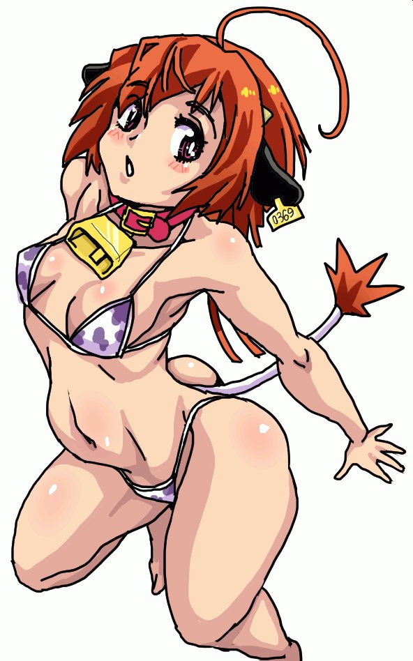 ウアー!今になってすっげえ眠くなってきた!
困るネェ…昨晩は変な夢を5本くらい見て
途中で何度も起きました! 