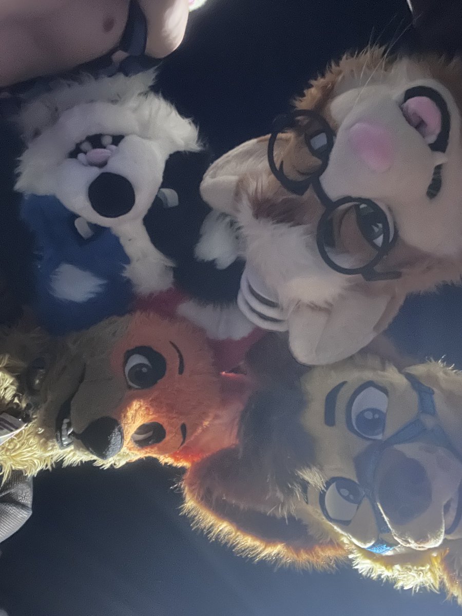 Lil’ Maxie tweet media