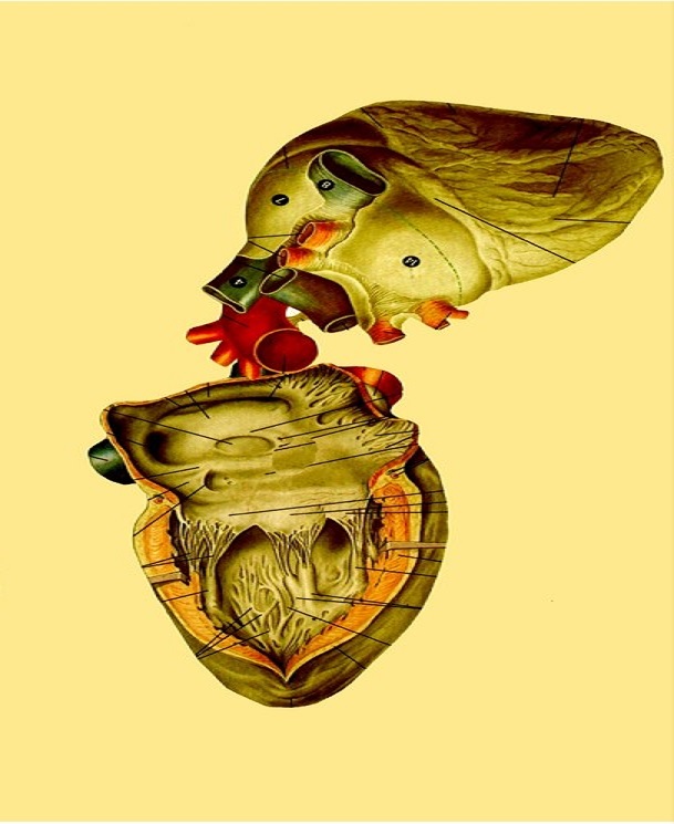 R J Dent tweet media