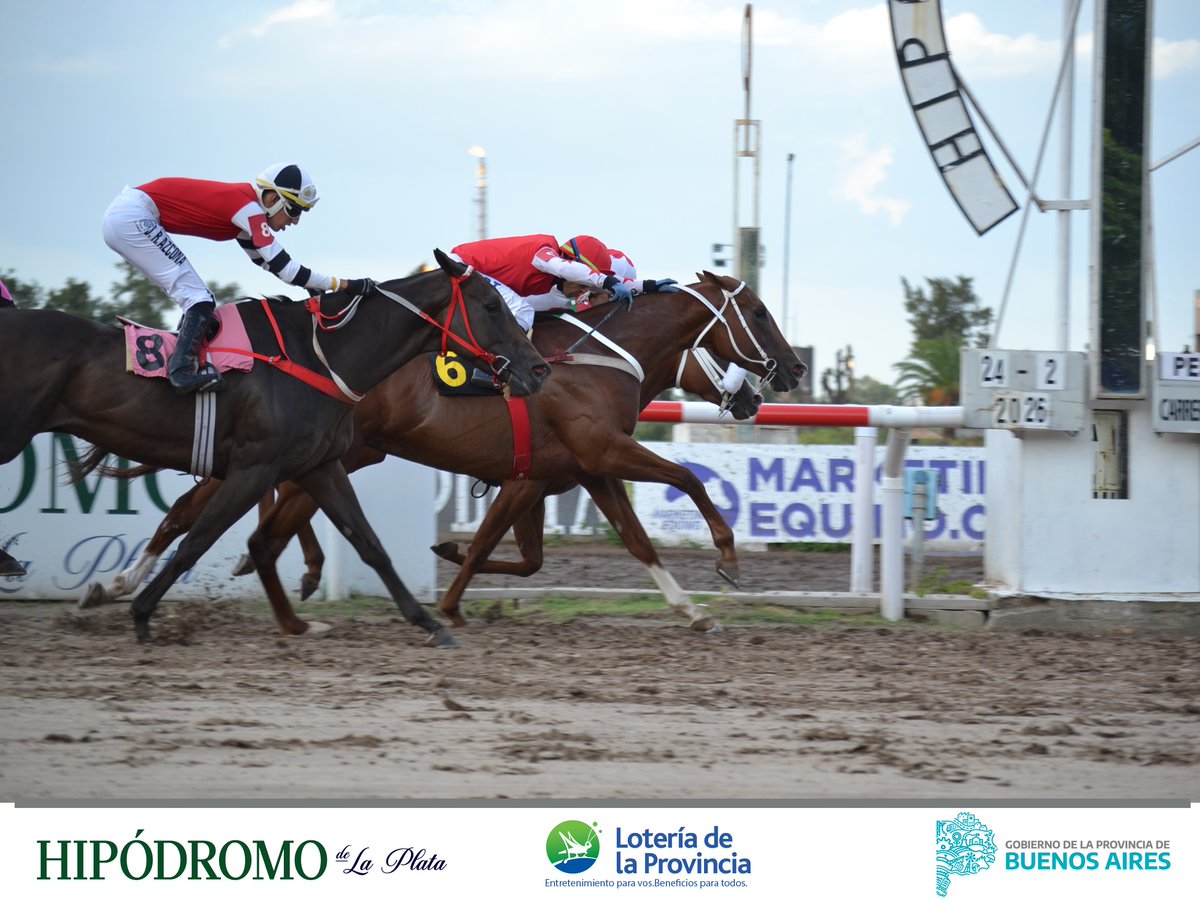 Hipódromo La Plata tweet media