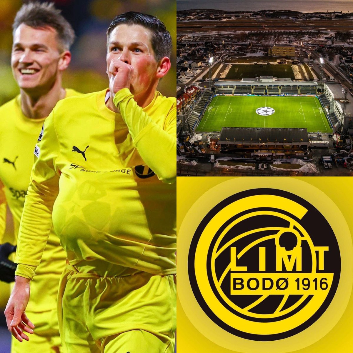 Cerebros tweet media