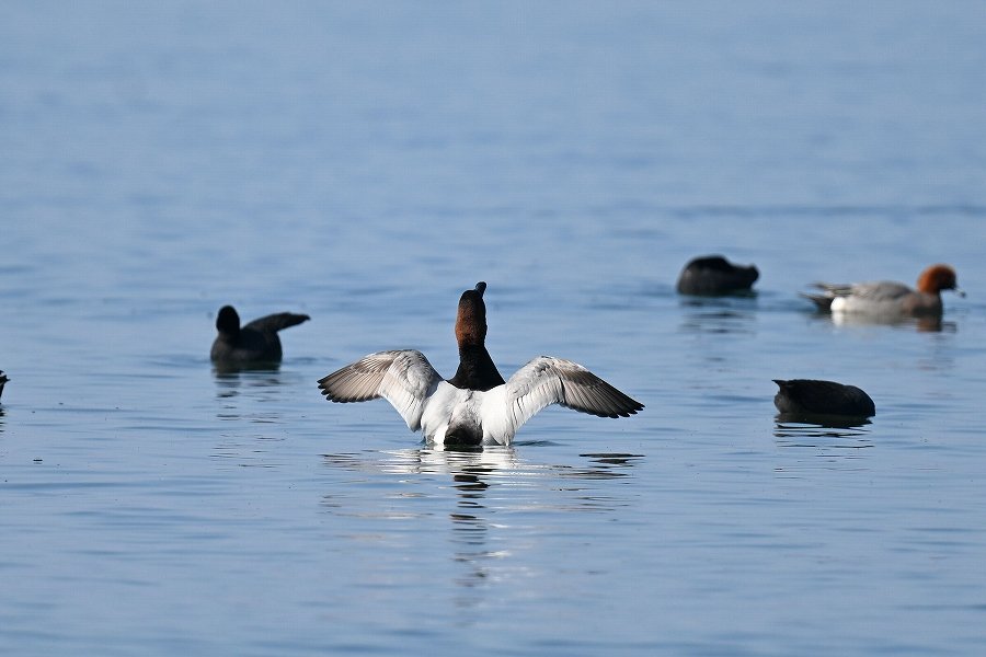 makokuni (@makokuni9292) / Posts / X