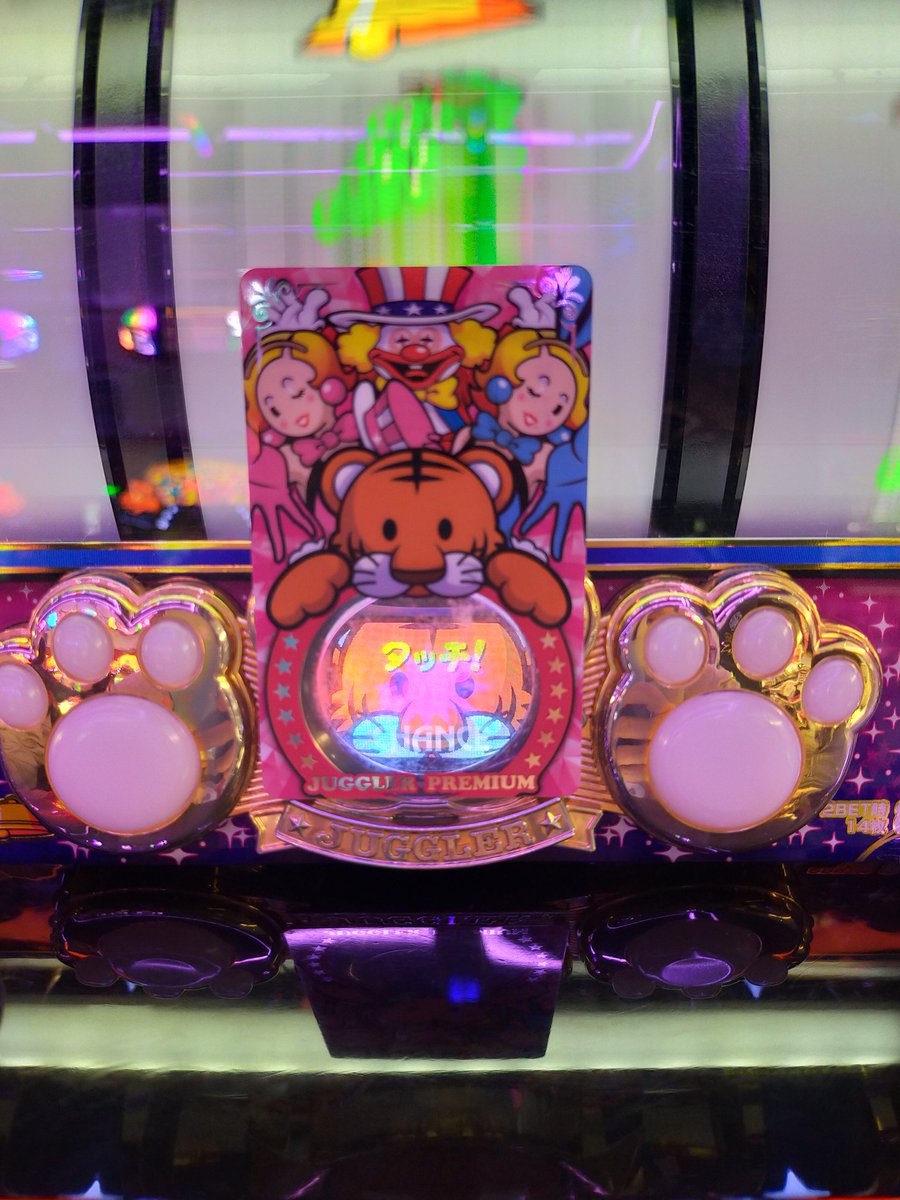 昨日やっと撮れたとらぴっぴさん📸 リールが止まりかけで急いで撮り