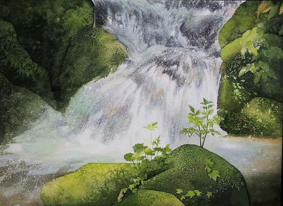 24日からの個展の絵をアップしています。 展示は東京の自然奥多摩の絵